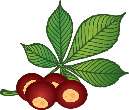 Buckeye leaves